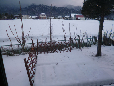 c0343936_23234169.jpg