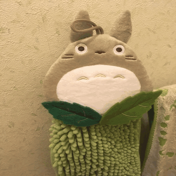 d0369636_06100256.gif