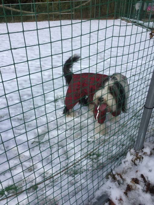 b0369239_10424633.jpeg