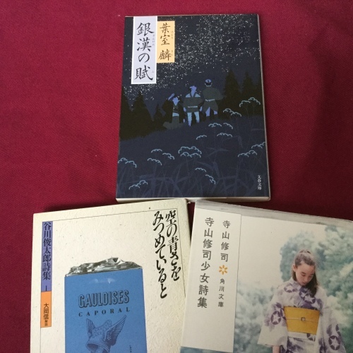 d0289139_09141753.jpeg