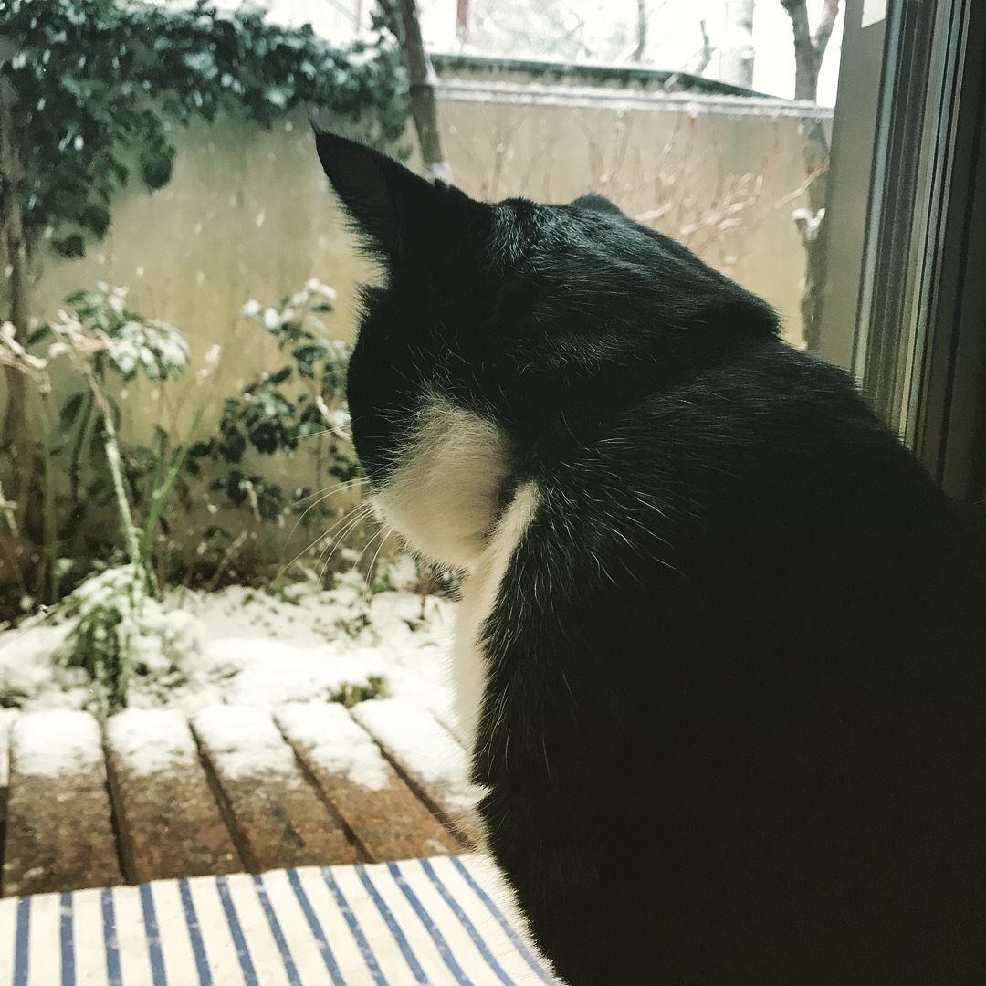 c0209240_23245688.jpeg