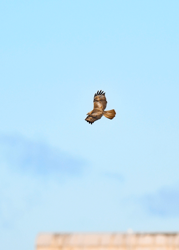 d0290240_15501193.gif