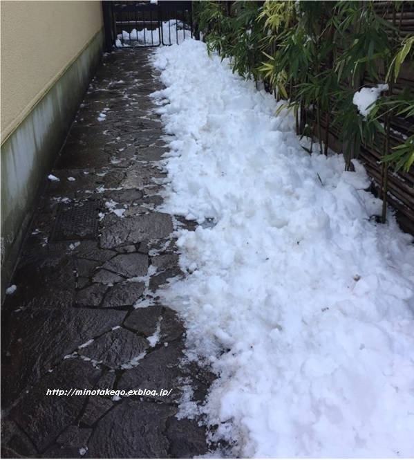 雪の日にも万能 ~レデッカーちりとり~_e0343145_19584277.jpg