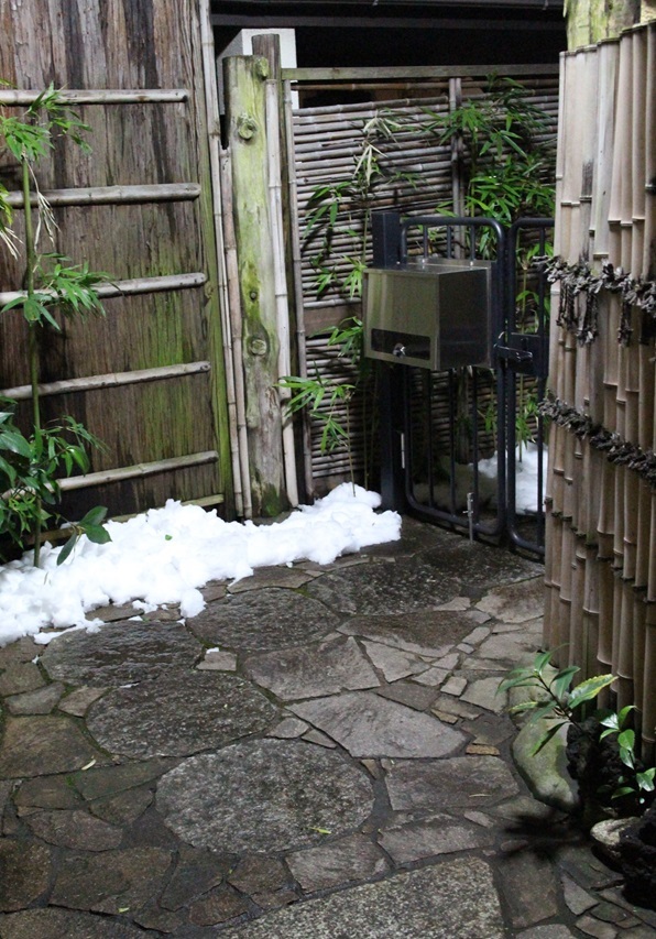 雪の日にも万能 ~レデッカーちりとり~_e0343145_23351966.jpg