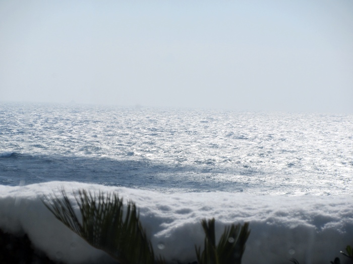 b0009849_16362748.jpg