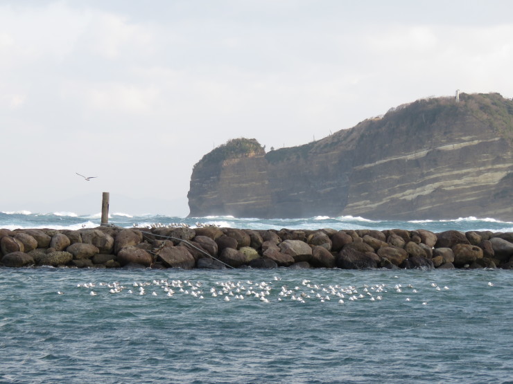 f0214649_11005017.jpg