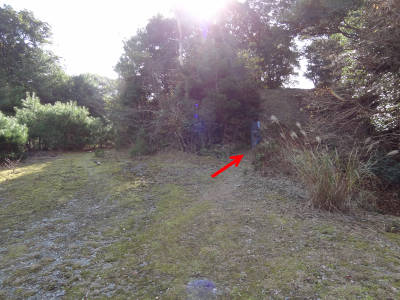 e0033751_1731869.jpg