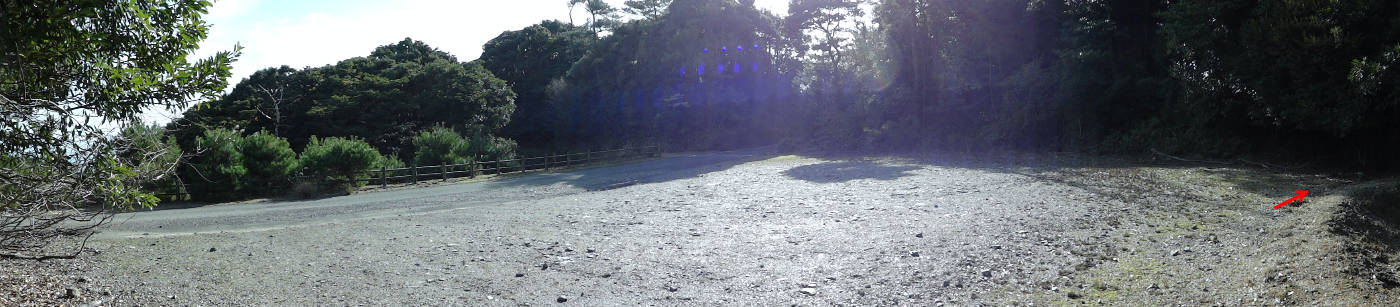 e0033751_173203.jpg