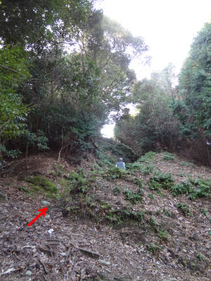 e0033751_1732193.jpg