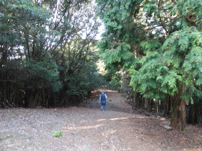 e0033751_1732610.jpg
