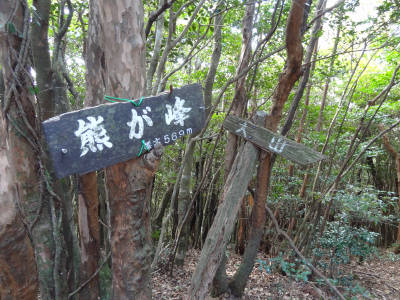 e0033751_1732874.jpg