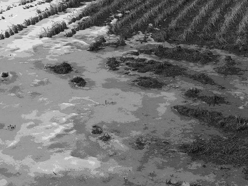d0342652_357404.jpg