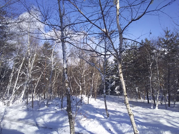 f0364455_11393631.jpg