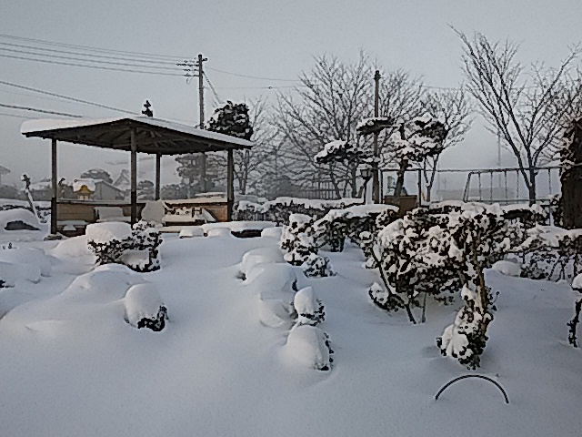 あずまやの屋根に積もる雪_e0009760_7244642.jpg