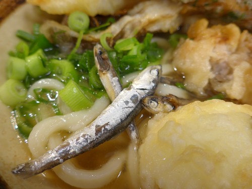 吉祥寺「いぶきうどん」へ行く。_f0232060_1141629.jpg
