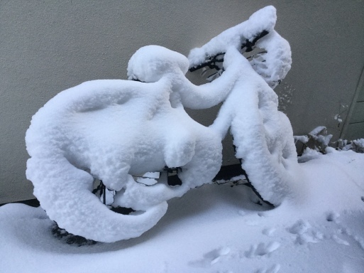a0053063_13542183.jpeg