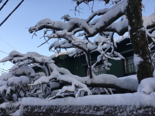 a0053063_14070879.jpeg