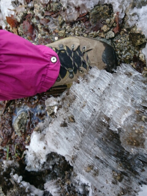 c0260463_07480850.jpg