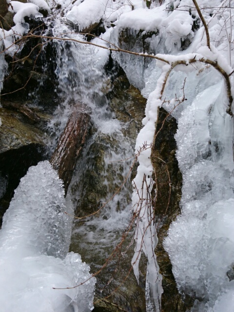c0260463_07522858.jpg