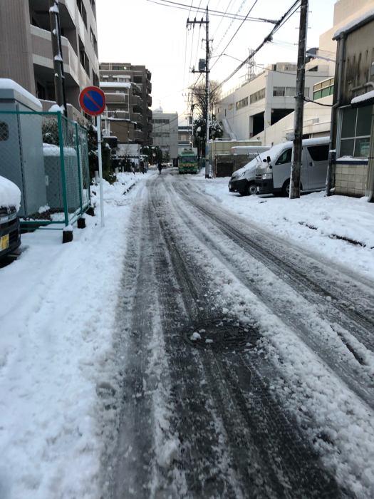 大雪ですw &nbsp;その2（一夜明けて編）_f0096666_07074494.jpg