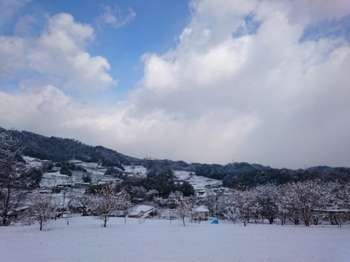 d0186069_10345890.jpg