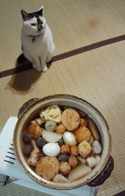丸いおでん ないものを あるもので 丸いおでん ないものを あるもので