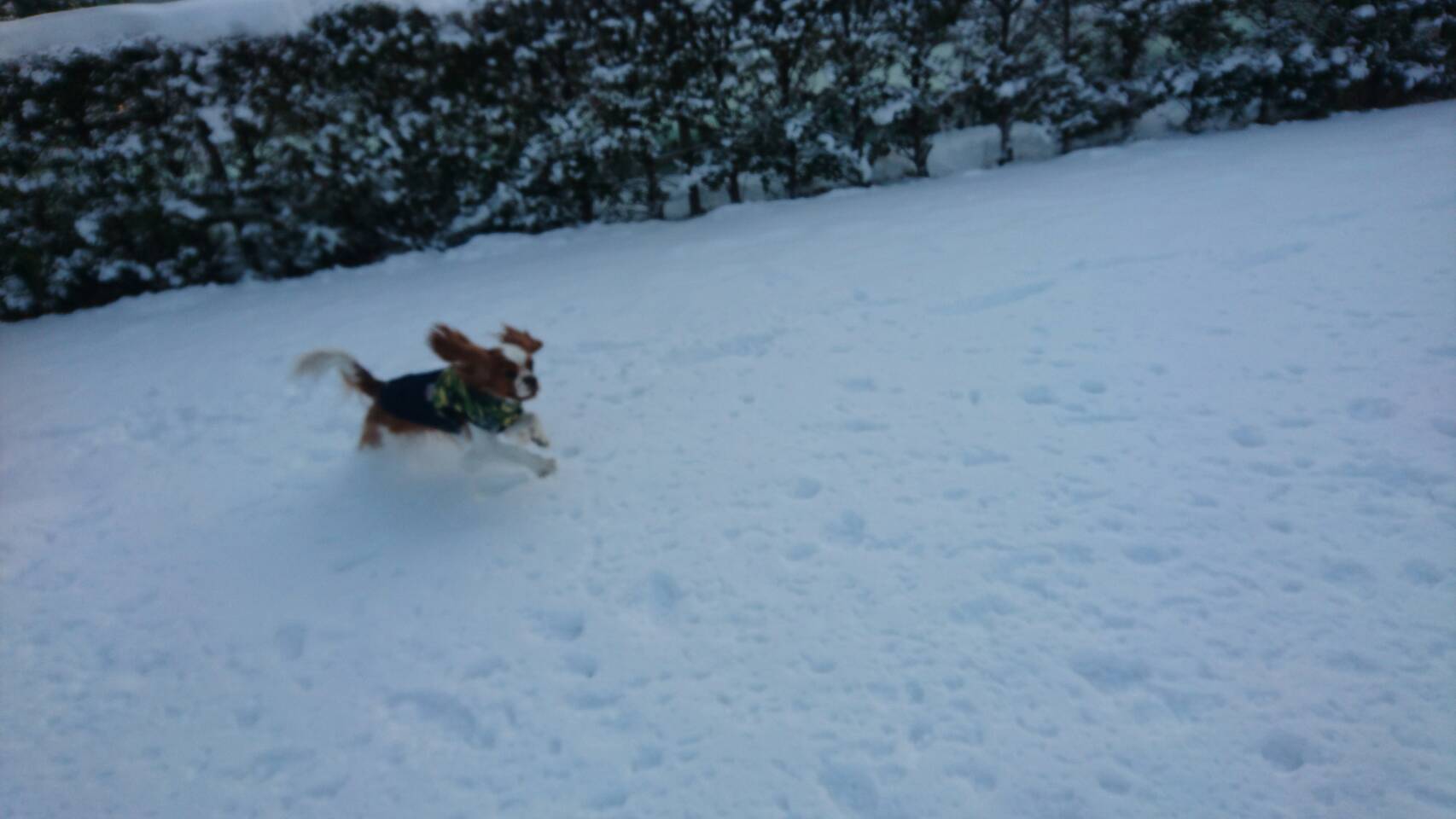 雪遊び_e0367571_09080246.jpg