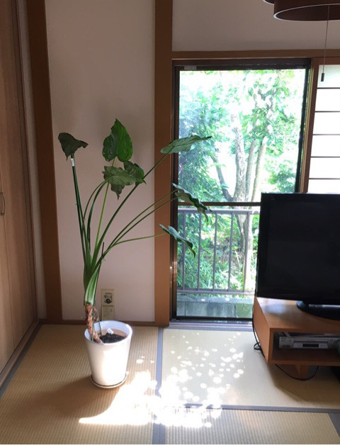 が私に発した言葉_a0374873_16434885.jpg