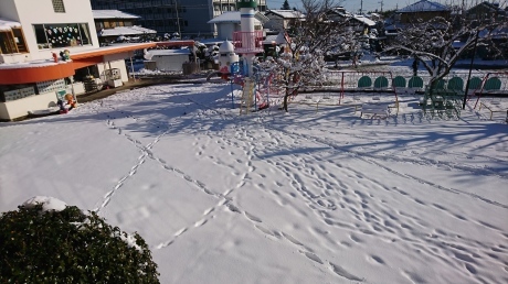 a0168274_12141305.jpg