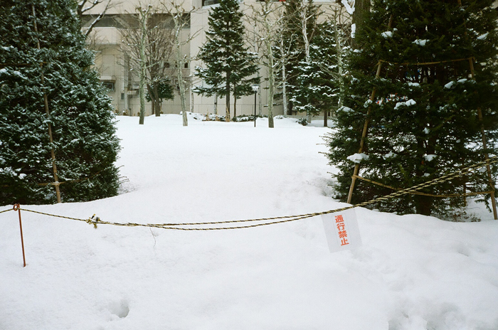 札幌の雪の現況と去年の雪_c0182775_1744685.jpg