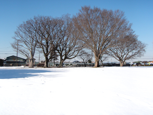 近場で雪景色を探してみた_c0051781_222761.jpg