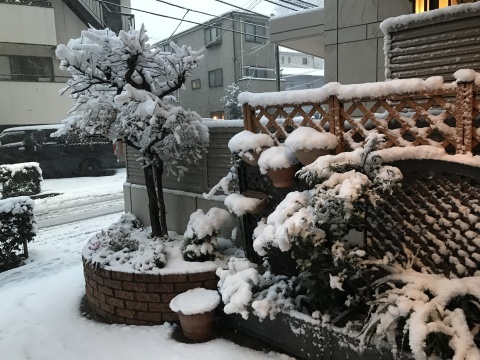 f0218182_18021149.jpg