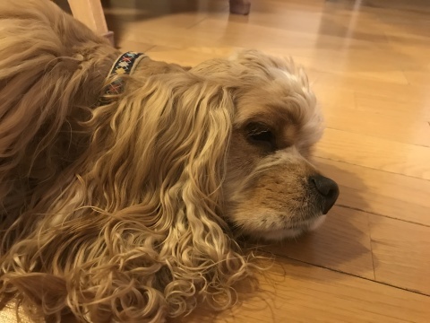 f0218182_18031173.jpg