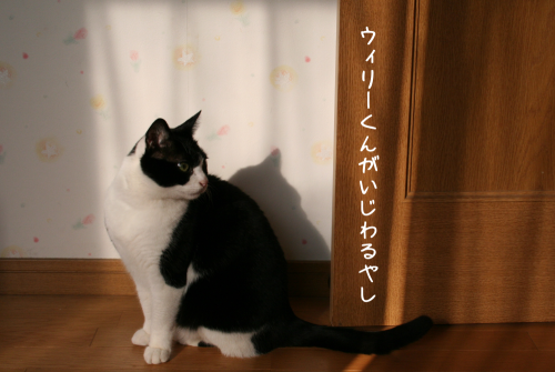 a0216583_10572344.png
