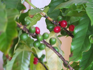 e0130185_19183911.jpg