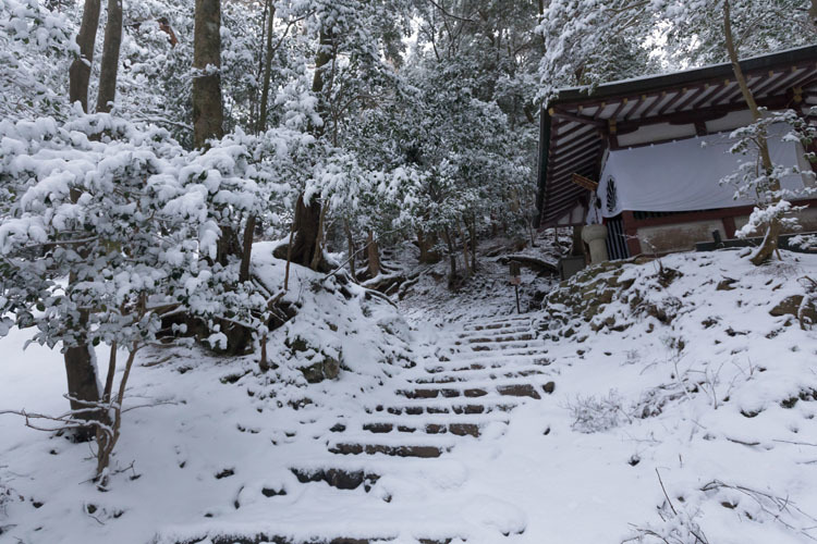 鞍馬寺 ~後編~_e0051888_21215634.jpg