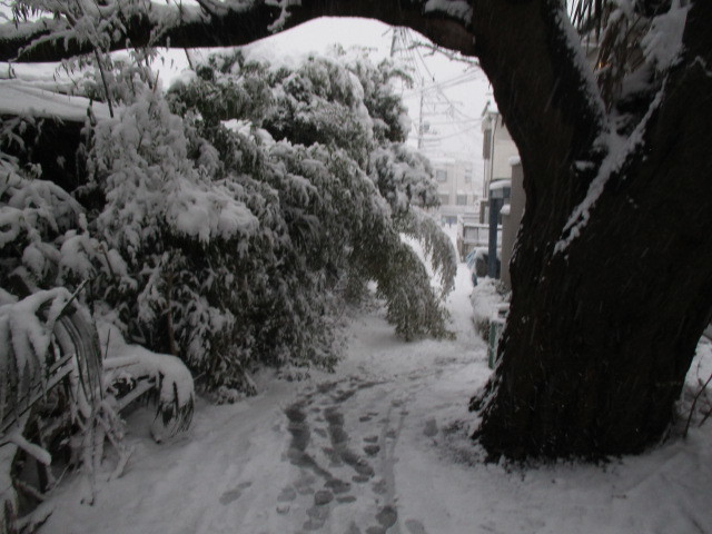 f0362589_15525354.jpg