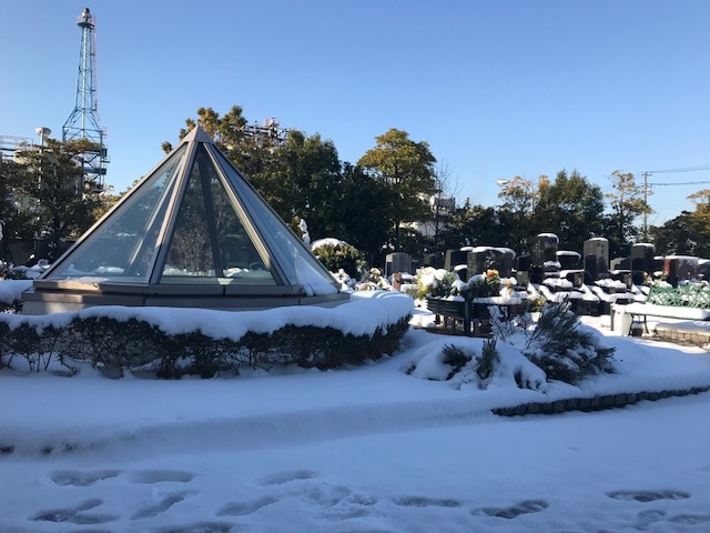 大雪から一夜明けて。_b0263390_09450803.jpg