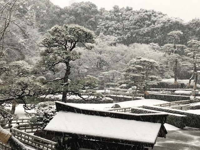 東京の大雪_b0187591_15361383.jpg