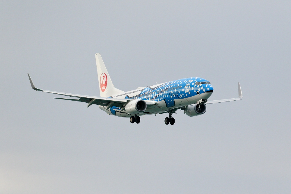 JTA B737-800 新ジンベエジェット_e0204891_18583596.jpg