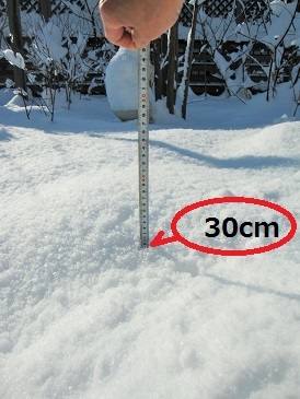 c0117898_16321662.jpg