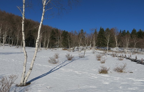 入笠山・・ピンクのゴンドラに乗ってみたい(^o^)_a0158702_14261365.jpg