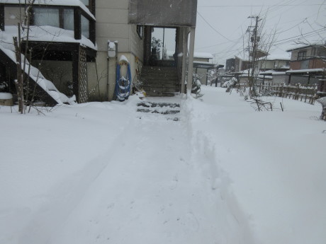 a0203003_13145876.jpg