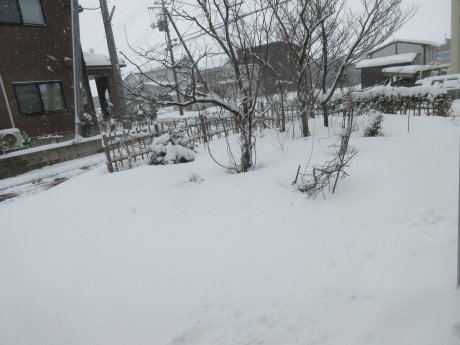 a0203003_13152439.jpg