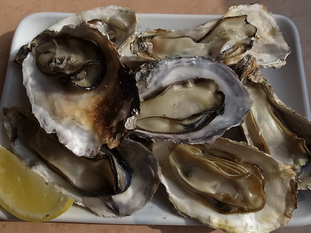 漁師料理 海宝@兵庫県たつの市御津町室津_f0197703_18162313.jpg