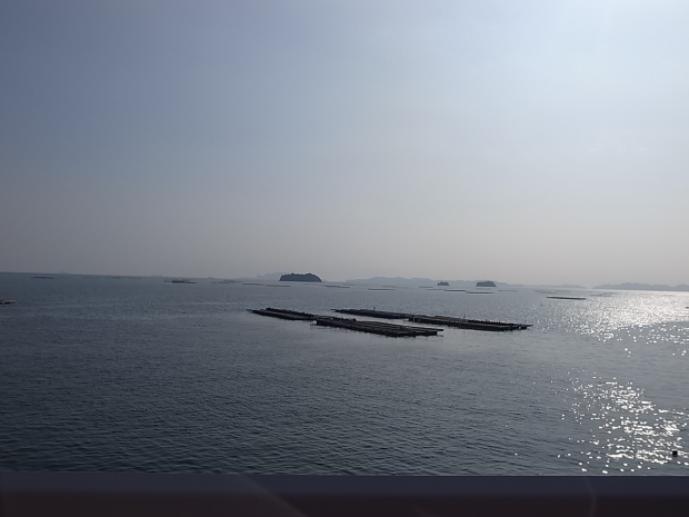 漁師料理 海宝@兵庫県たつの市御津町室津_f0197703_18195576.jpg