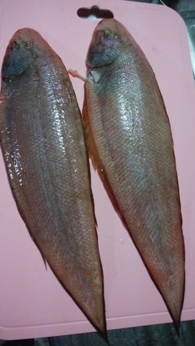 a0166904_10071990.jpg