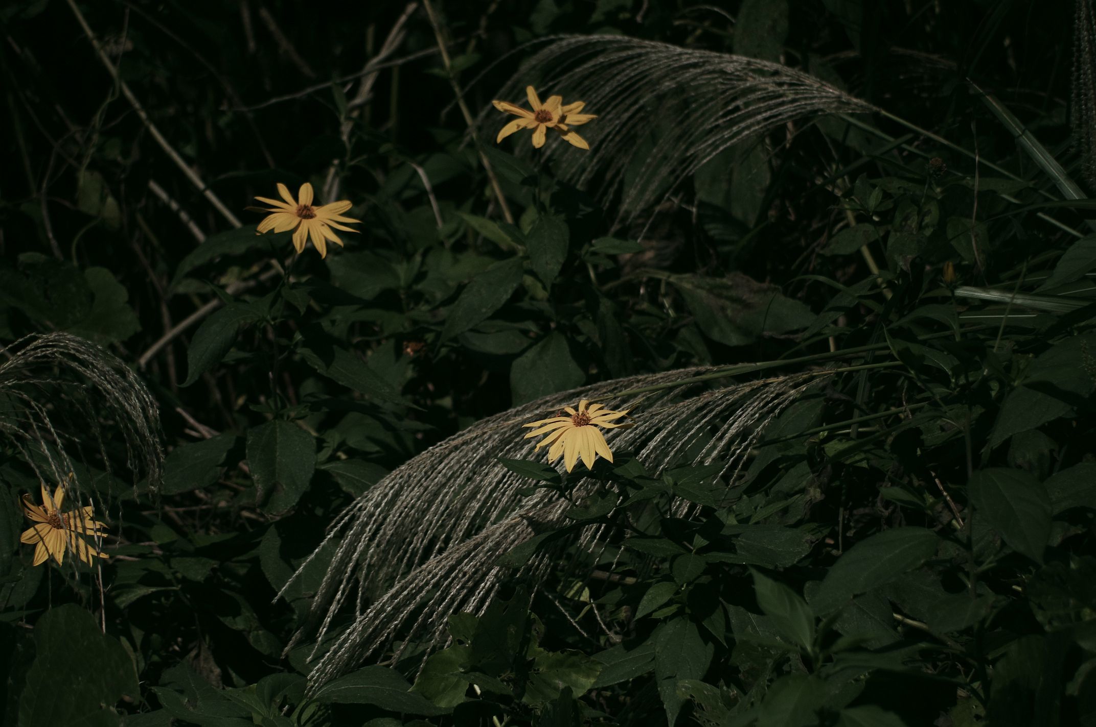 c0156908_22094372.jpg