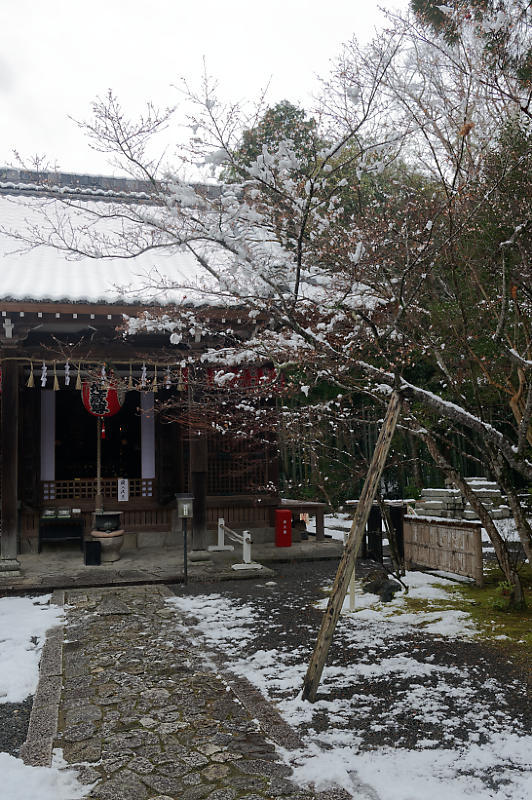 京都の雪景色2018＠赤山禅院_f0032011_21312037.jpg