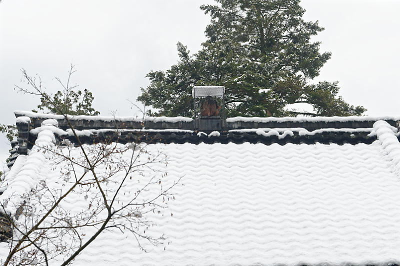 京都の雪景色2018＠赤山禅院_f0032011_21312095.jpg